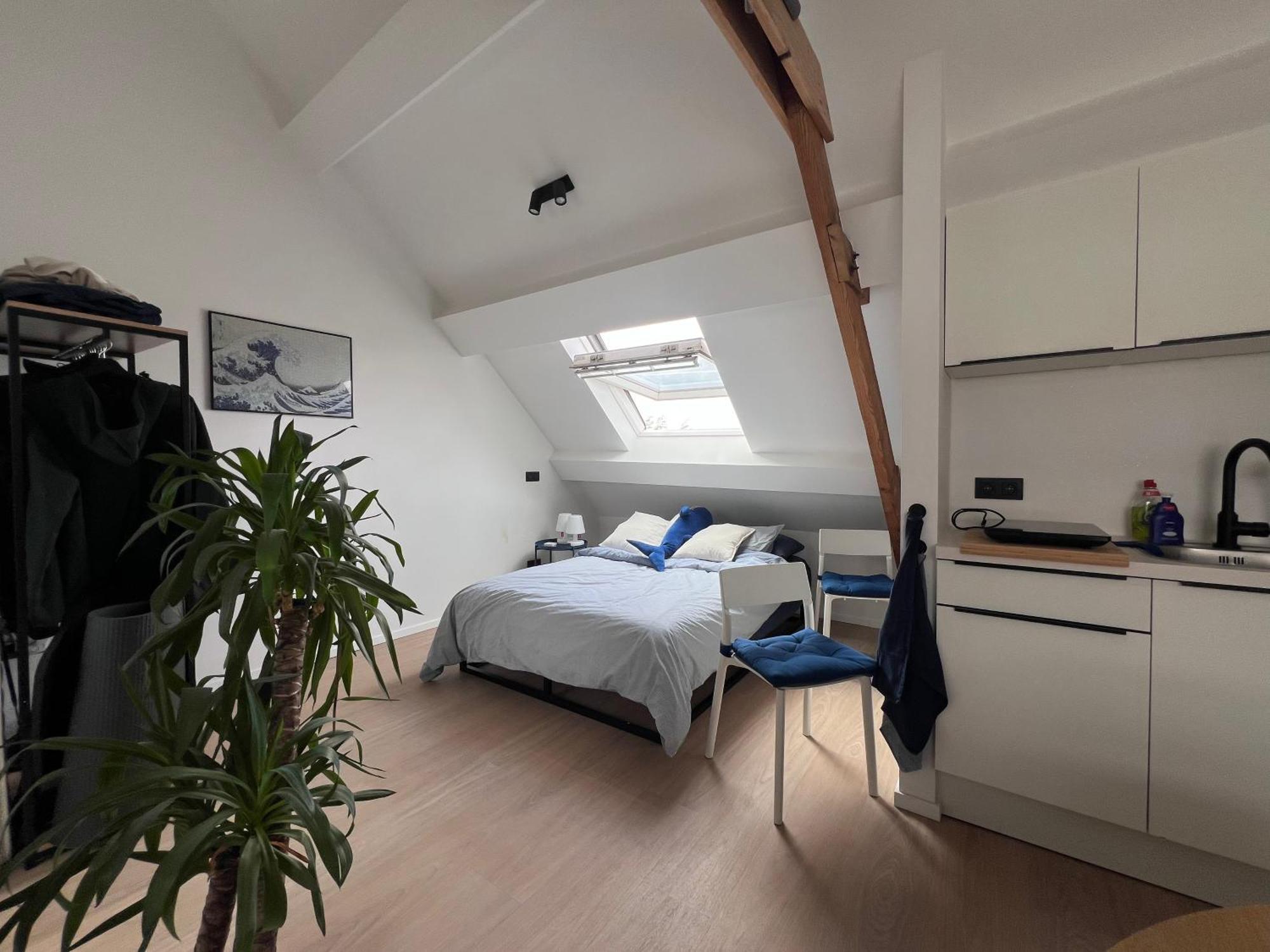 Laurent - Gitoo Apartment Gent